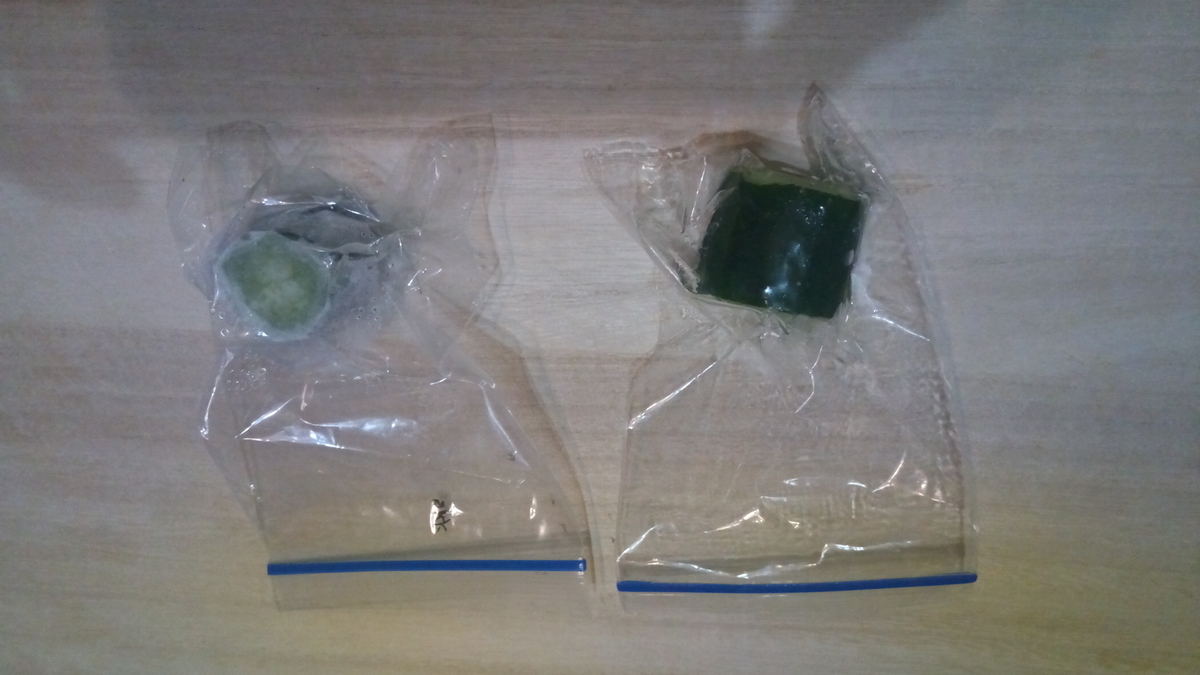 f:id:sci_report:20190513185333j:plain f:id:sci_report:20190513185333j:plain