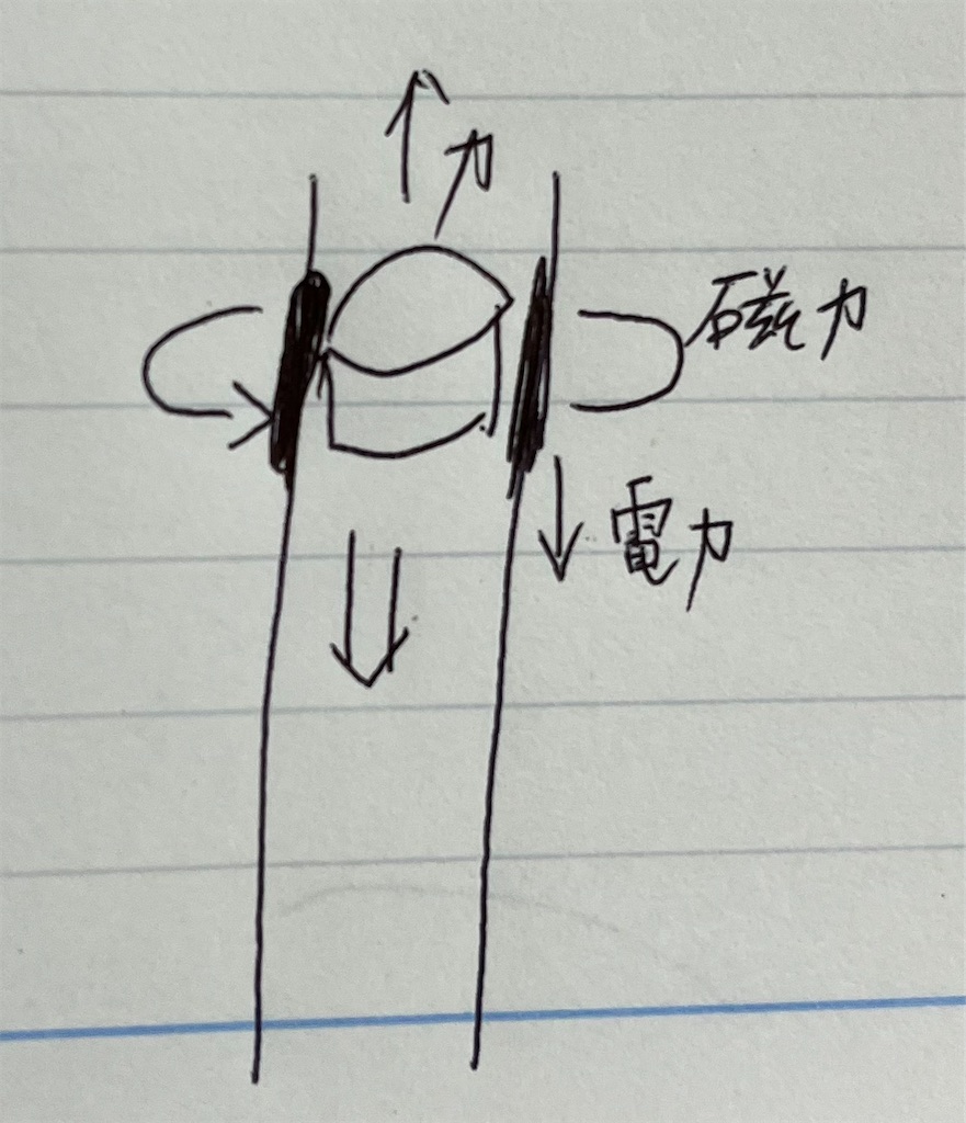 f:id:science_memo:20220509223345j:image f:id:science_memo:20220509223345j:image