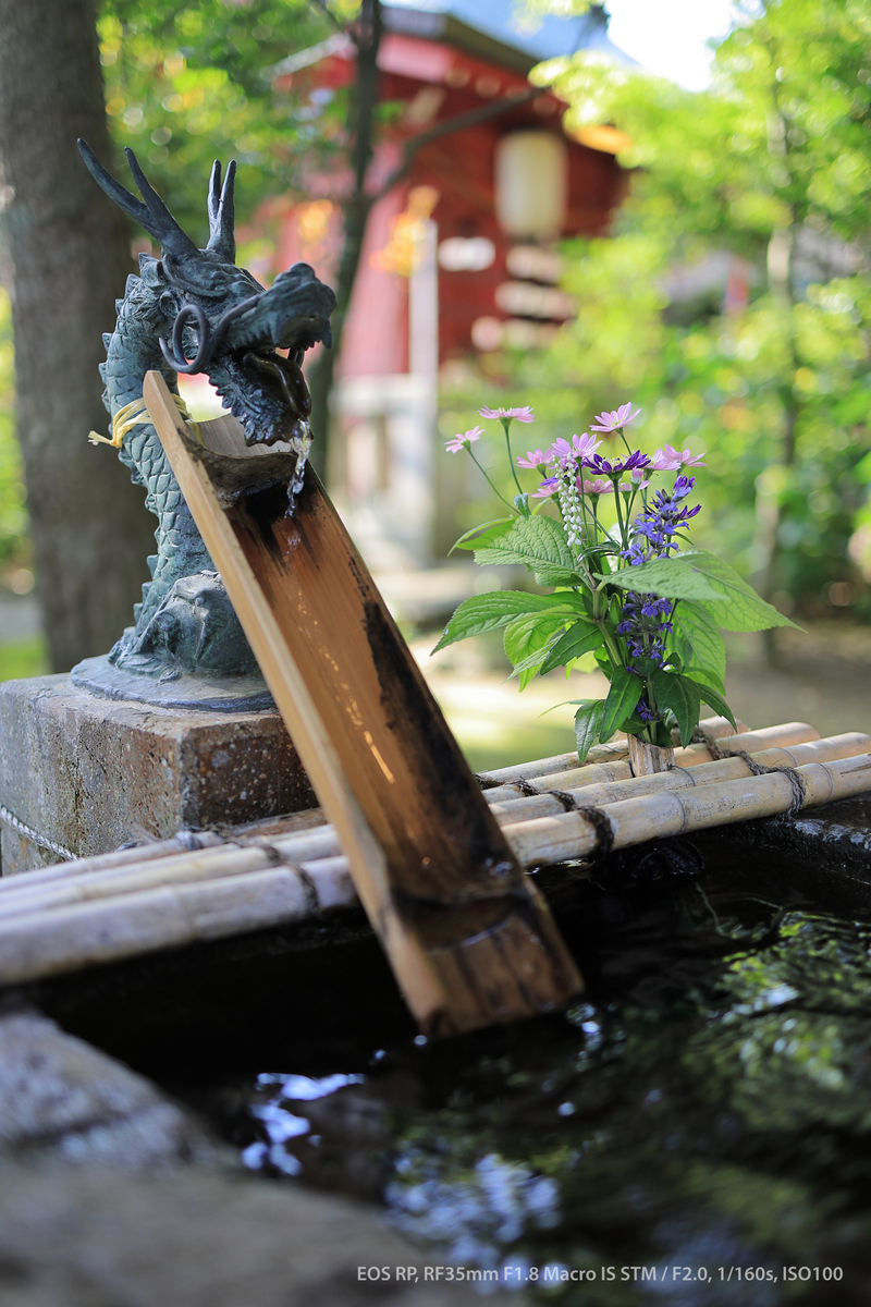 f:id:scientre:20190512155027j:plain f:id:scientre:20190512155027j:plain