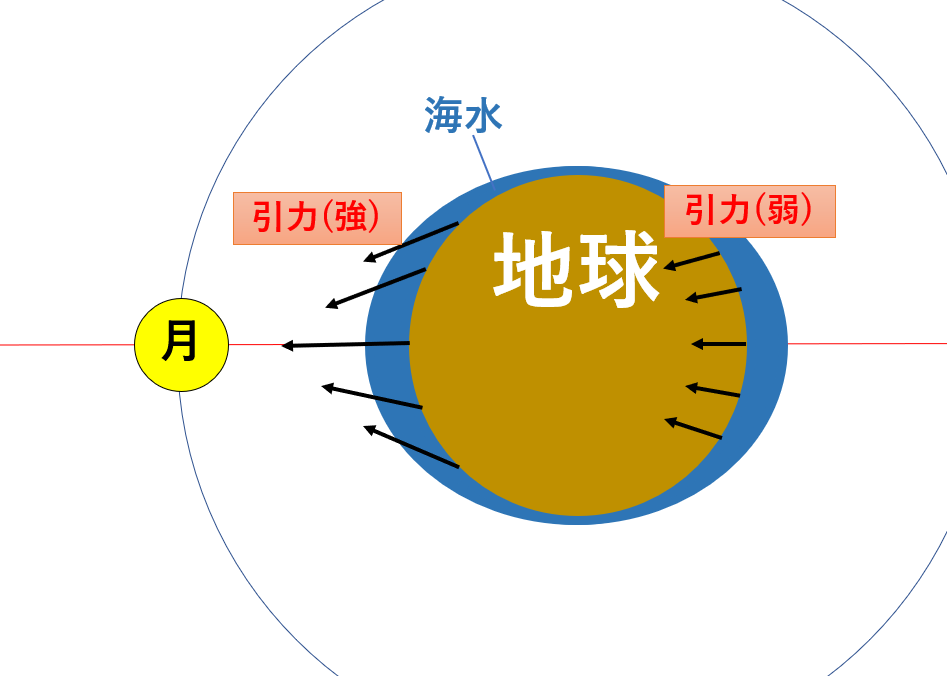 月の引力の強弱