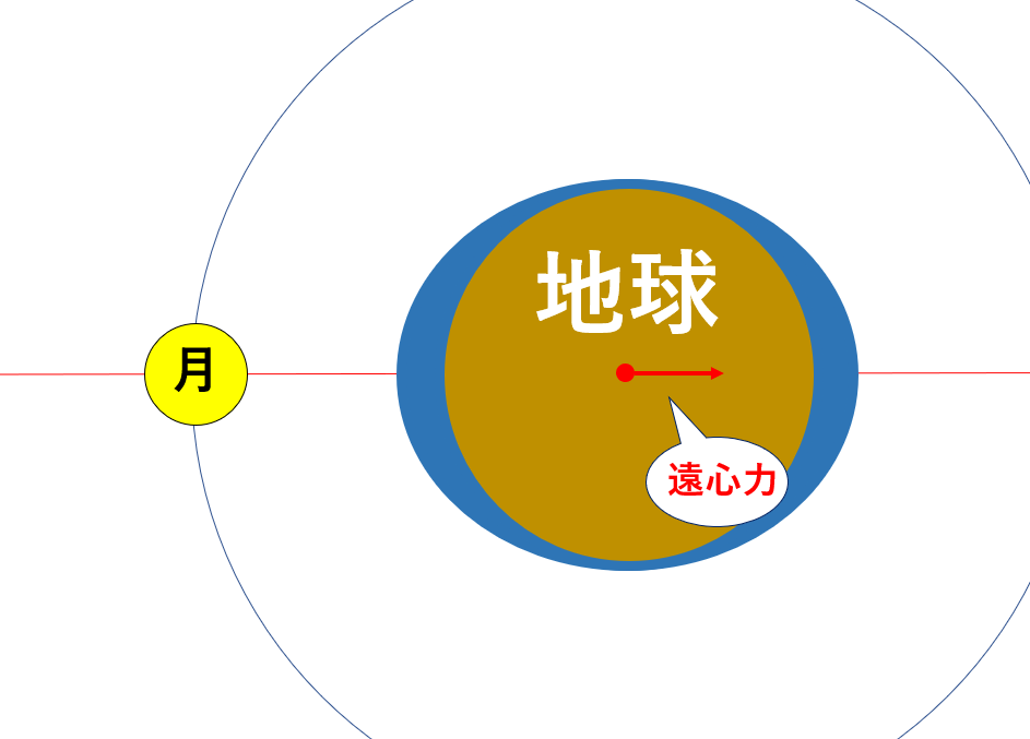 地球にも遠心力がかかる