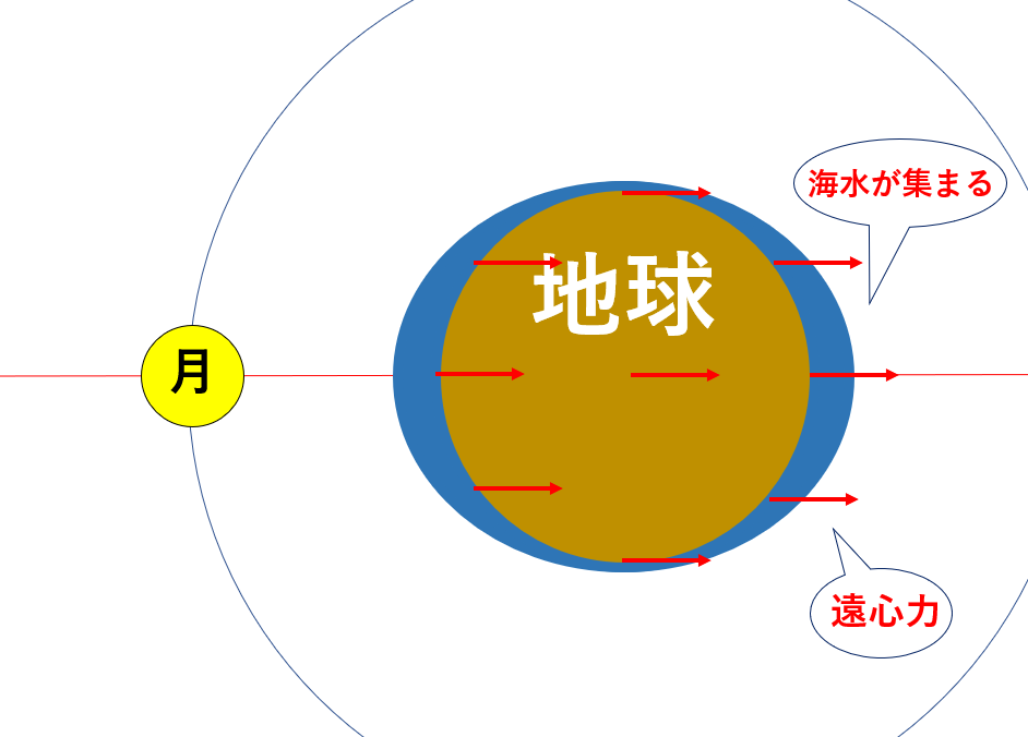 地球のどこでも遠心力がかかる