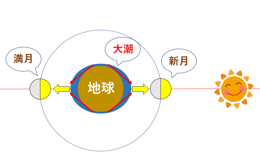 太陽と月の潮汐力が重なり大潮となる