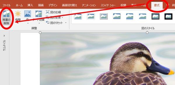 書式・背景の削除