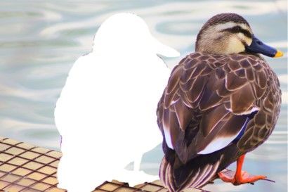 鳥も切り抜いた