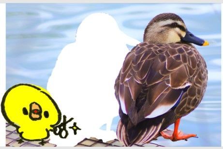 青っぽい水面