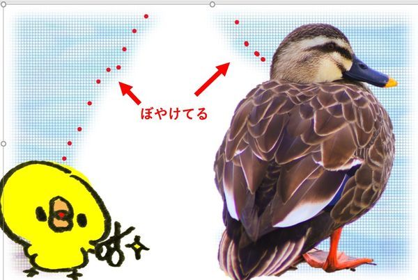 切り抜いた形がぼやけている