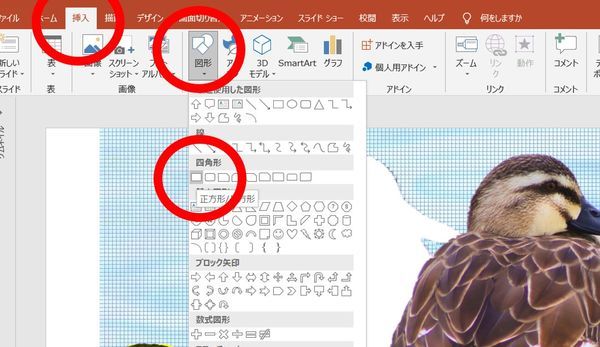 四角形を挿入