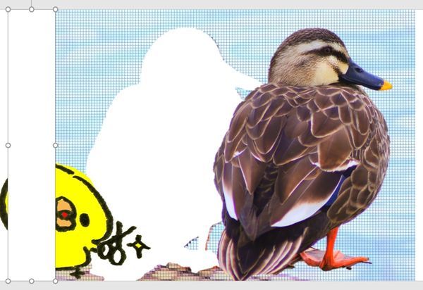枠線なし