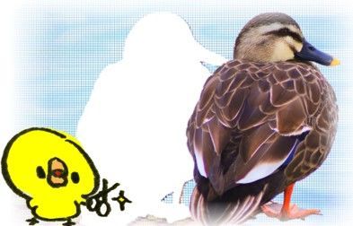 上下左右をぼかした