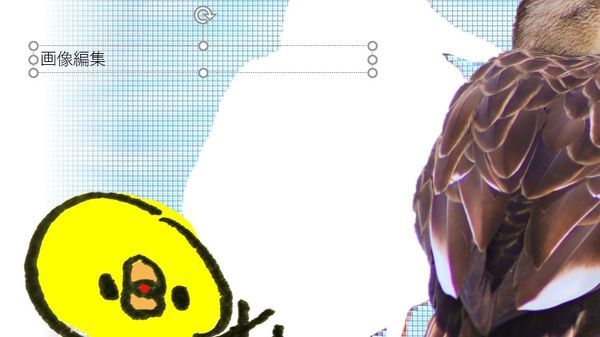 「画像編集」と入力