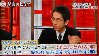 左利きは人生において不利 矯正すべき 左利きは出世するって本当 僭越ながら 1テーマの本を30冊読んで勉強するブログ
