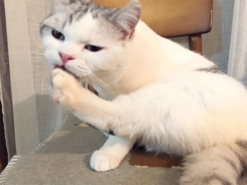 f:id:sconeko:20200412200128j:image