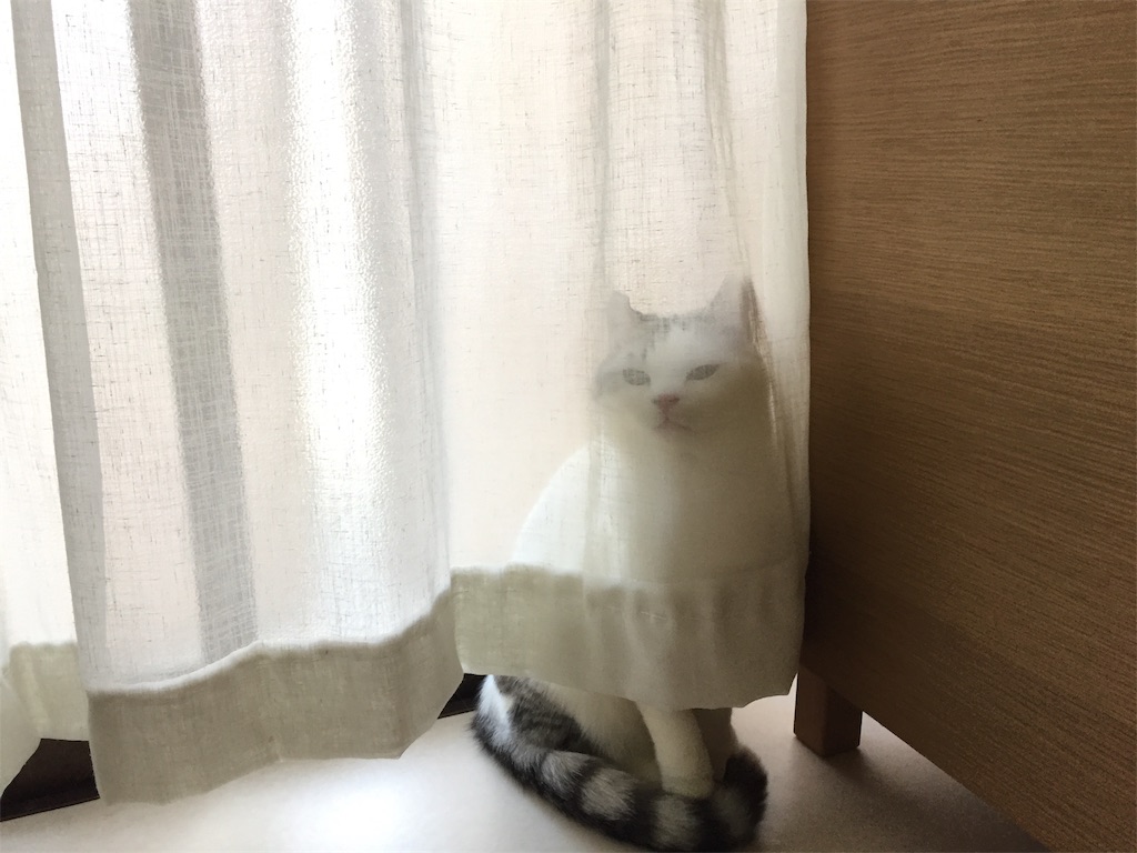 f:id:sconeko:20200423225617j:image