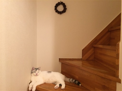 f:id:sconeko:20200524075612j:image