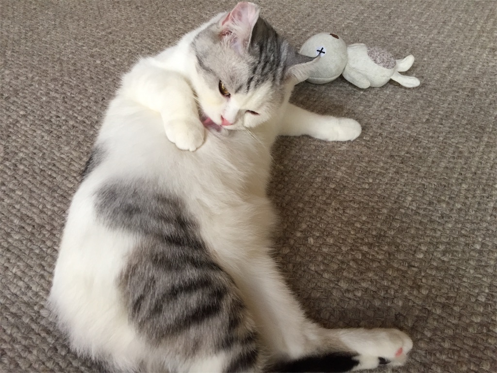 f:id:sconeko:20200529152543j:image