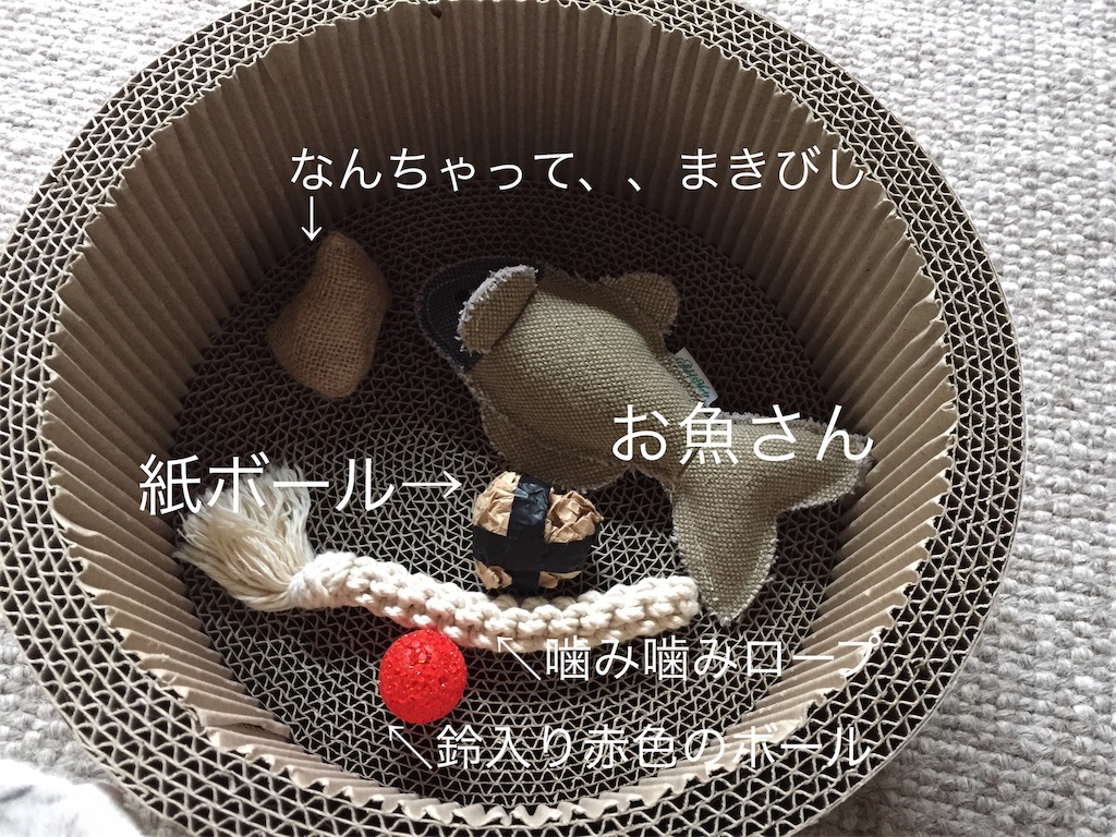f:id:sconeko:20200623153626j:image