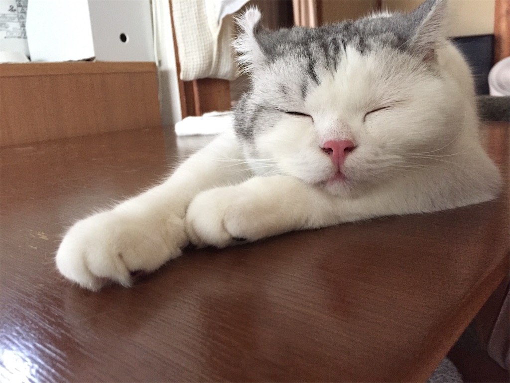 f:id:sconeko:20200822164238j:image