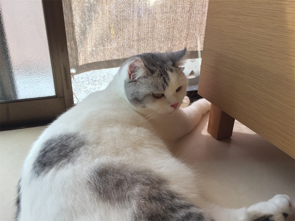 f:id:sconeko:20200904115328j:image