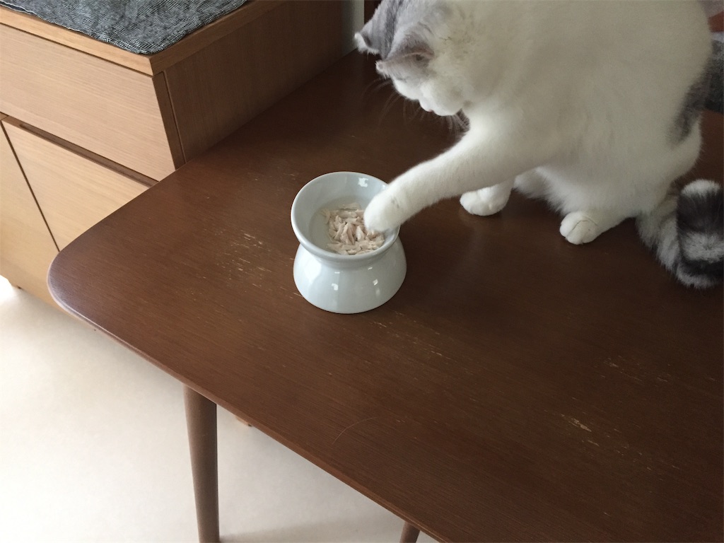 f:id:sconeko:20200913152906j:image f:id:sconeko:20200913152906j:image
