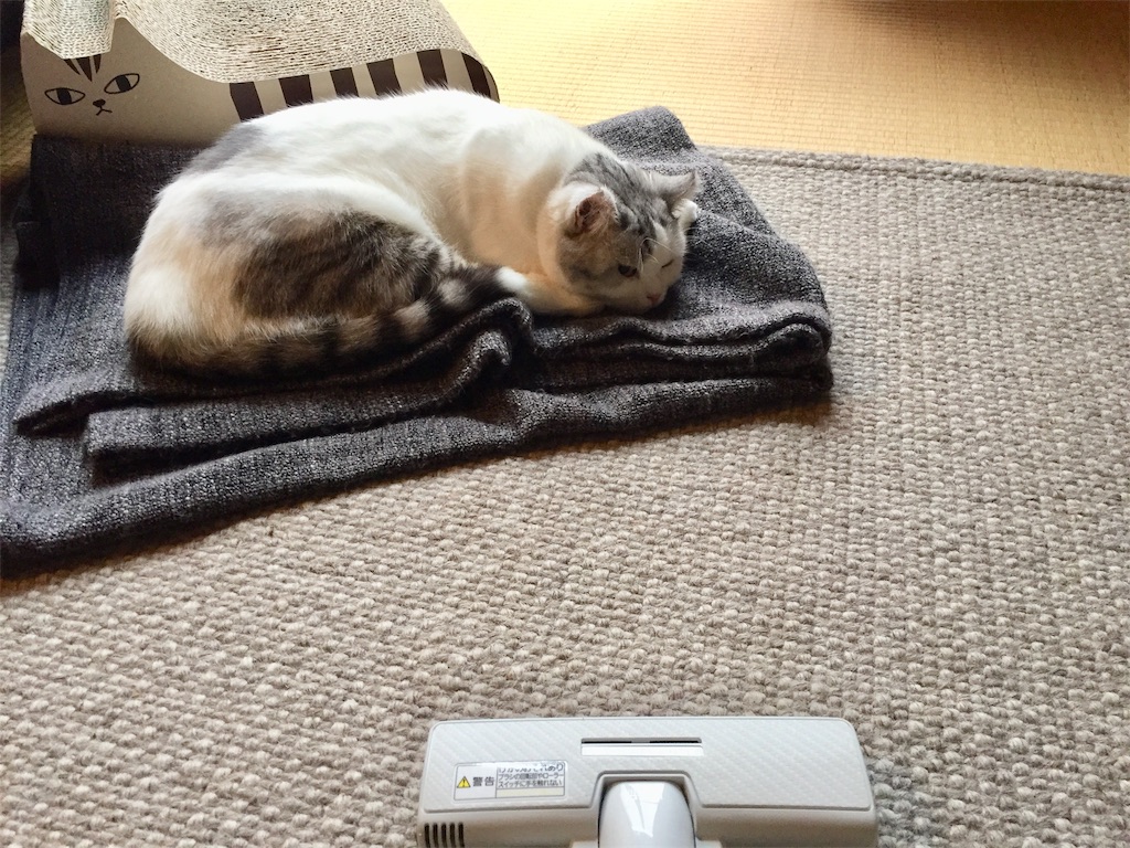f:id:sconeko:20201001133512j:image f:id:sconeko:20201001133512j:image