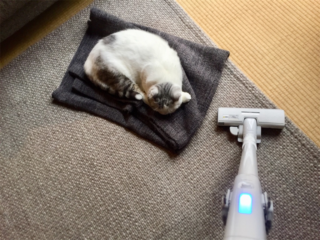 f:id:sconeko:20201001133515j:image f:id:sconeko:20201001133515j:image