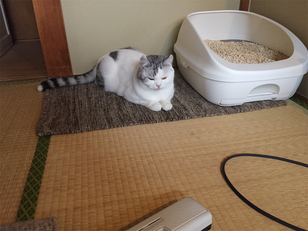 f:id:sconeko:20201001134141j:image f:id:sconeko:20201001134141j:image