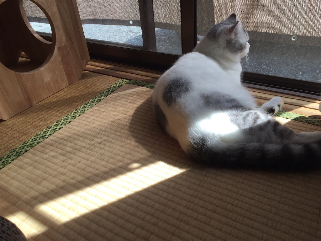 f:id:sconeko:20201001140023j:image f:id:sconeko:20201001140023j:image