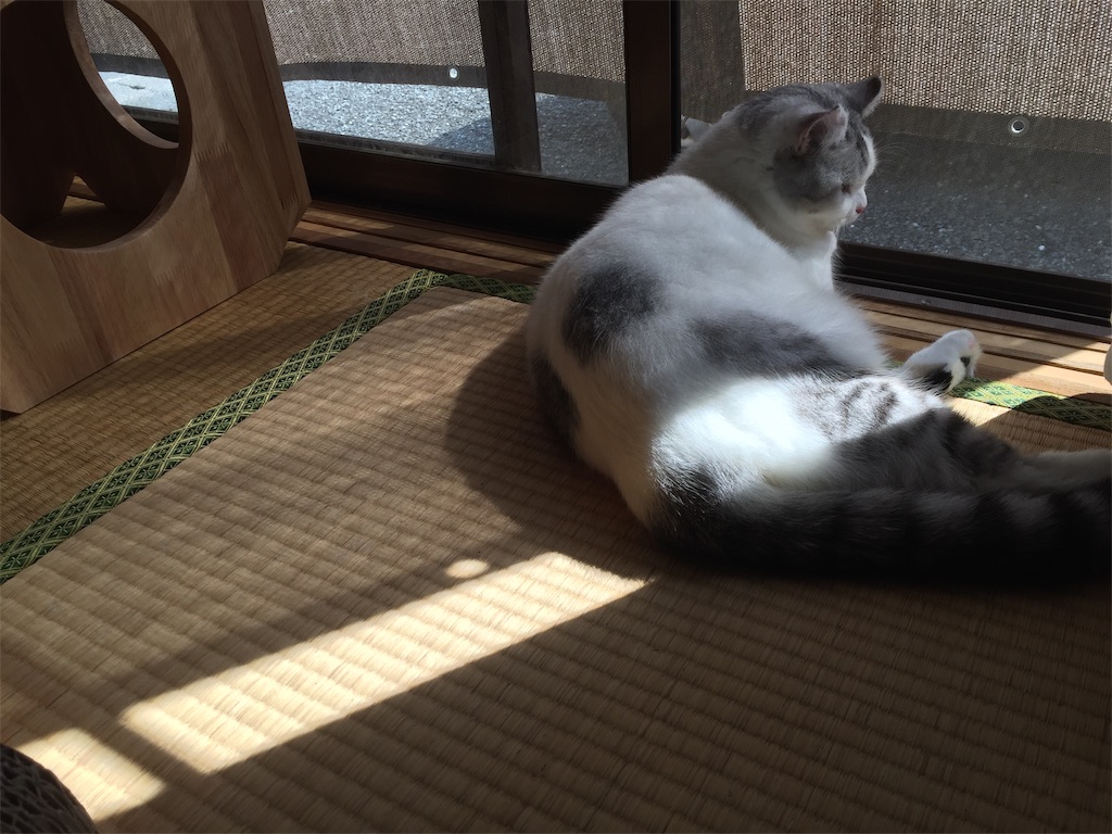 f:id:sconeko:20201001140033j:image f:id:sconeko:20201001140033j:image