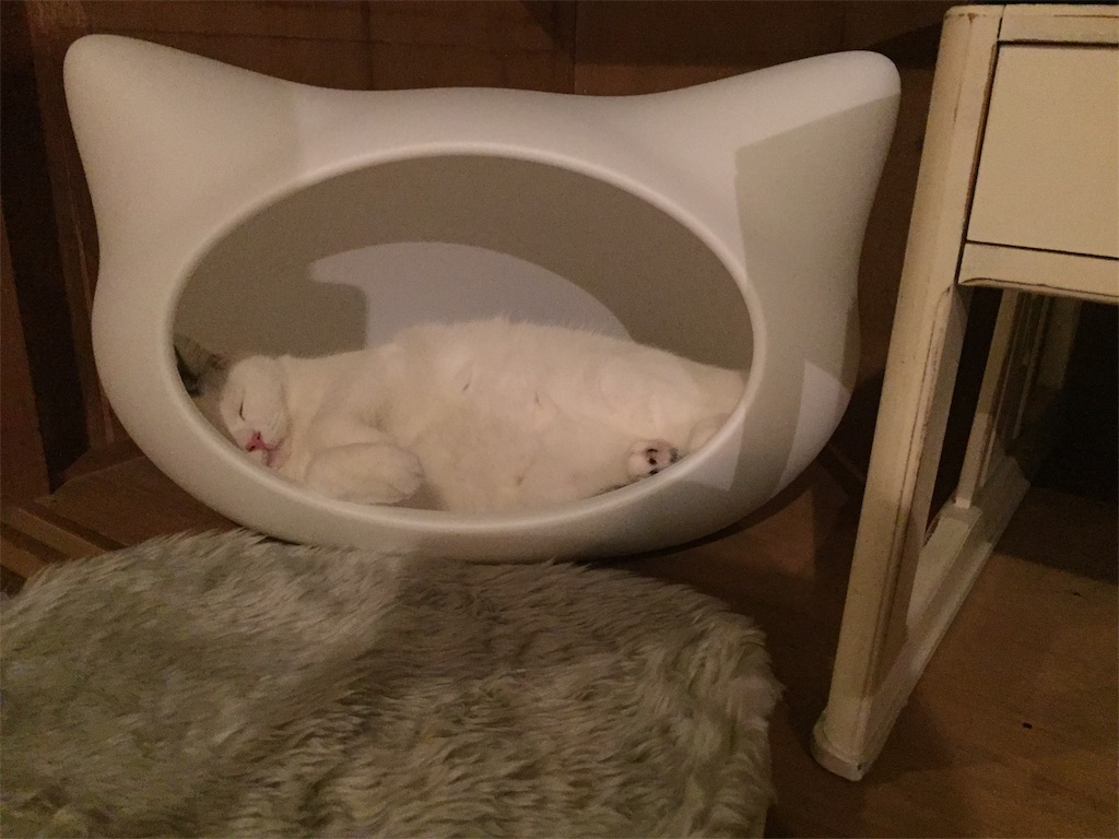 f:id:sconeko:20201011212040j:image f:id:sconeko:20201011212040j:image