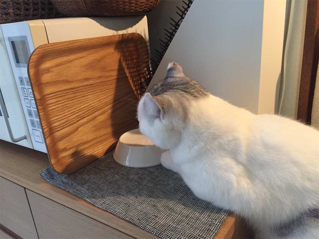 f:id:sconeko:20201017141829j:image f:id:sconeko:20201017141829j:image
