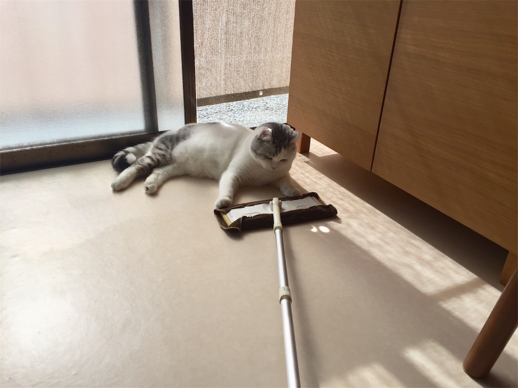 f:id:sconeko:20201024143949j:image