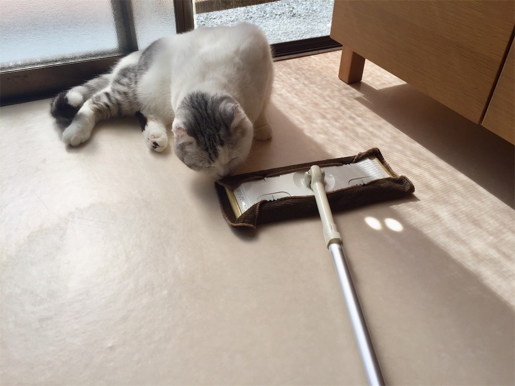 f:id:sconeko:20201024144000j:image