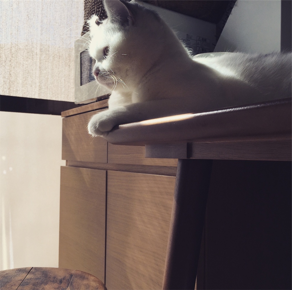 f:id:sconeko:20201105151606j:image f:id:sconeko:20201105151606j:image