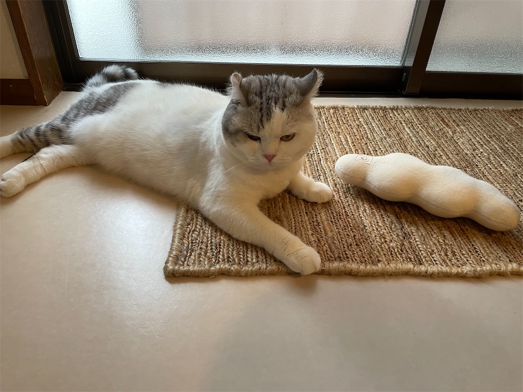 f:id:sconeko:20210902120009j:image f:id:sconeko:20210902120009j:image