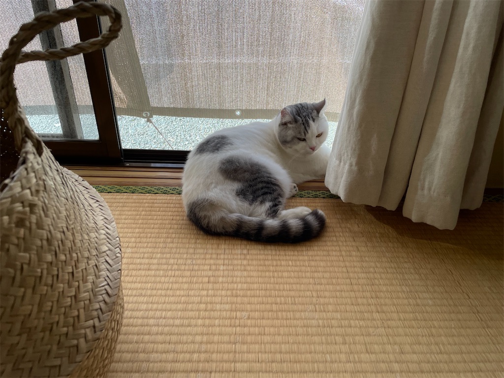 f:id:sconeko:20210911093620j:image