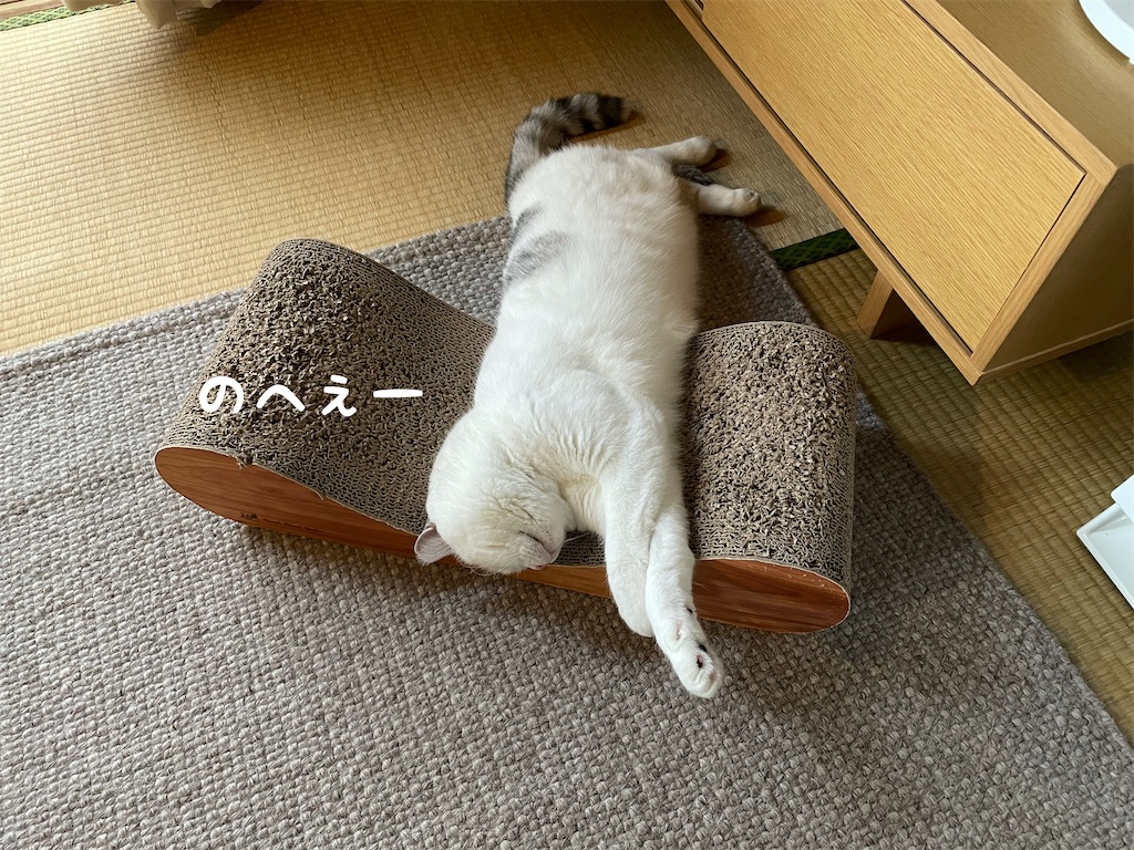 f:id:sconeko:20210918132248j:image