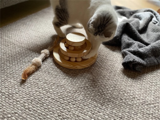 f:id:sconeko:20211021154456j:image