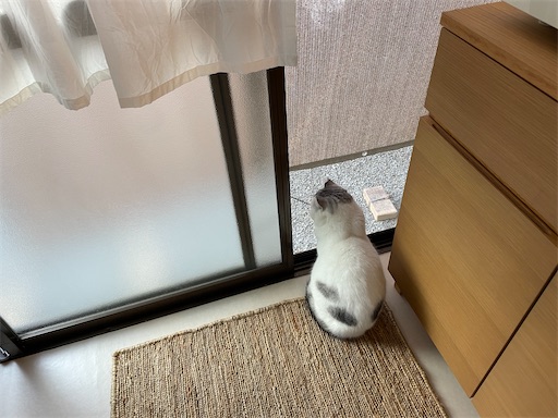 f:id:sconeko:20211108134009j:image f:id:sconeko:20211108134009j:image