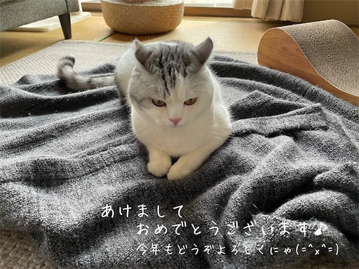 f:id:sconeko:20220105153645j:image f:id:sconeko:20220105153645j:image