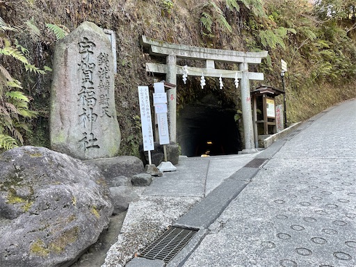 f:id:sconeko:20220206155212j:image