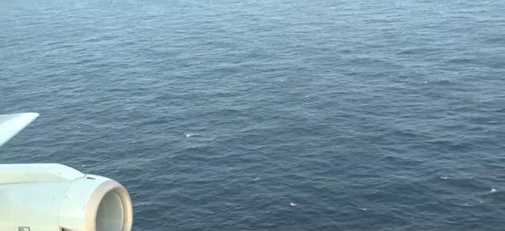 f:id:scopedog:20190102000441p:plain f:id:scopedog:20190102000441p:plain