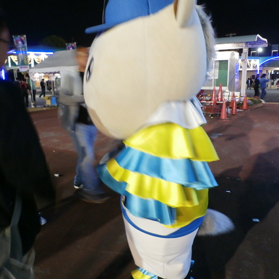 イメージ 8