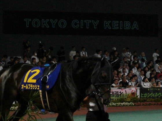 イメージ 12