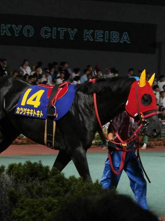 イメージ 14