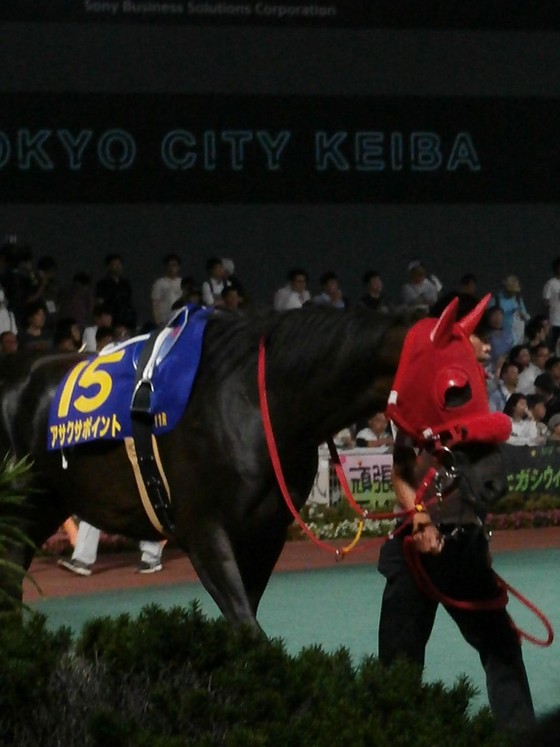 イメージ 15
