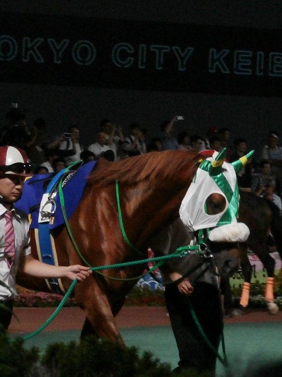 イメージ 16