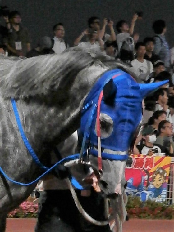 イメージ 17