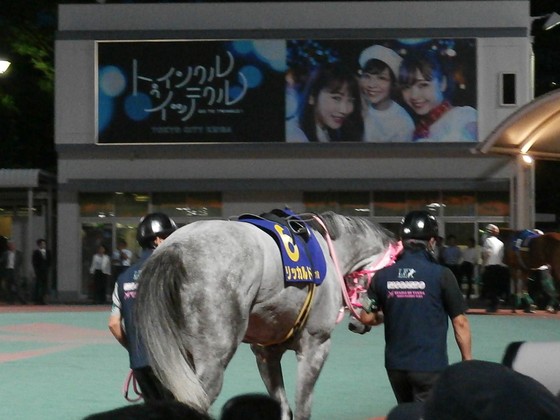 イメージ 7