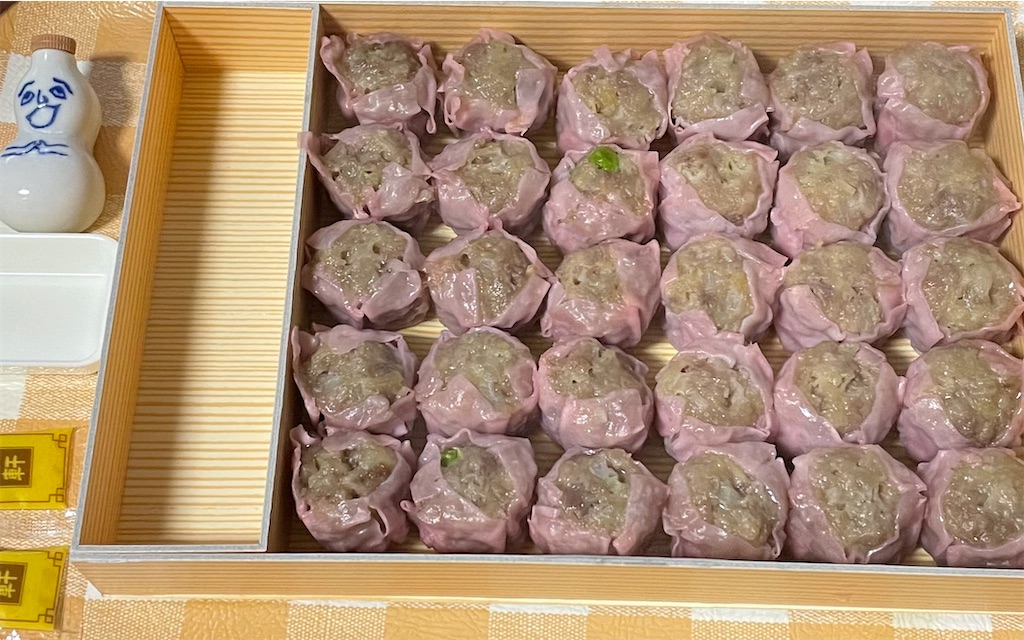 f:id:scp-tsuchinoko:20230320134758j:image